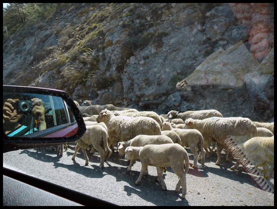 Verdon