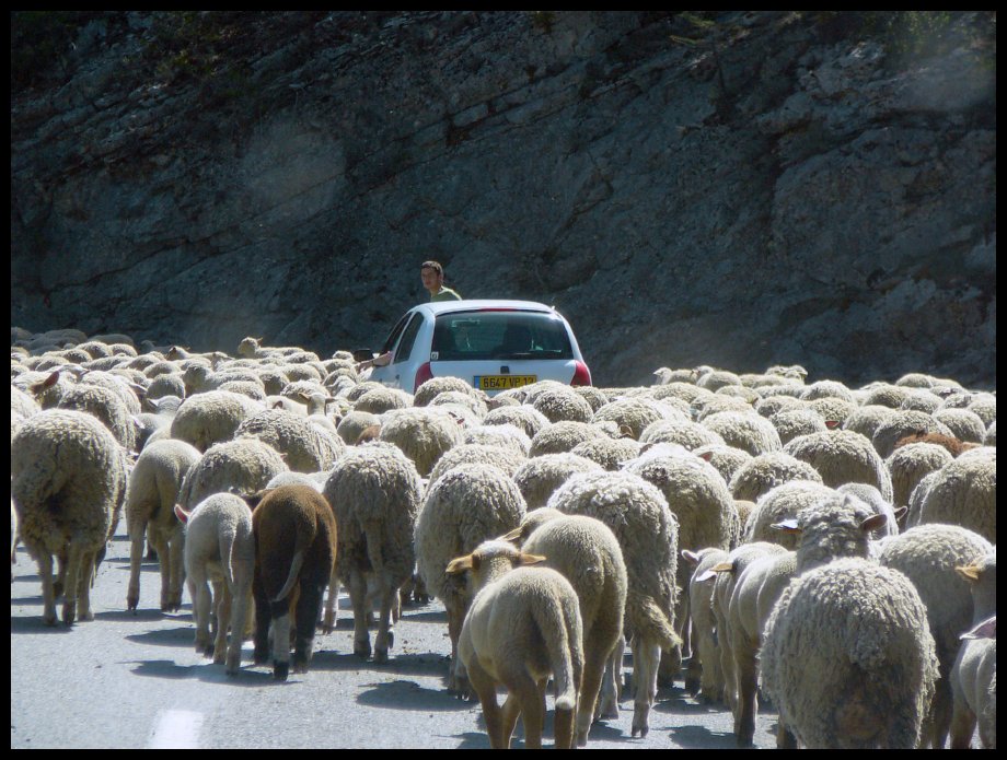 Verdon