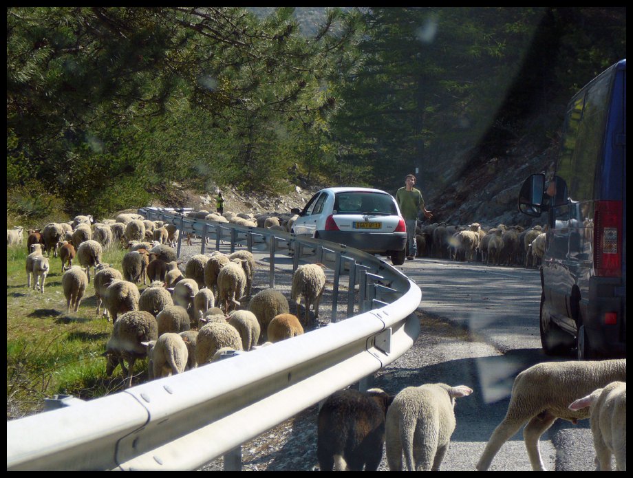 Verdon