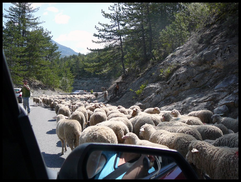 Verdon