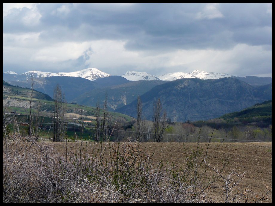 Verdon