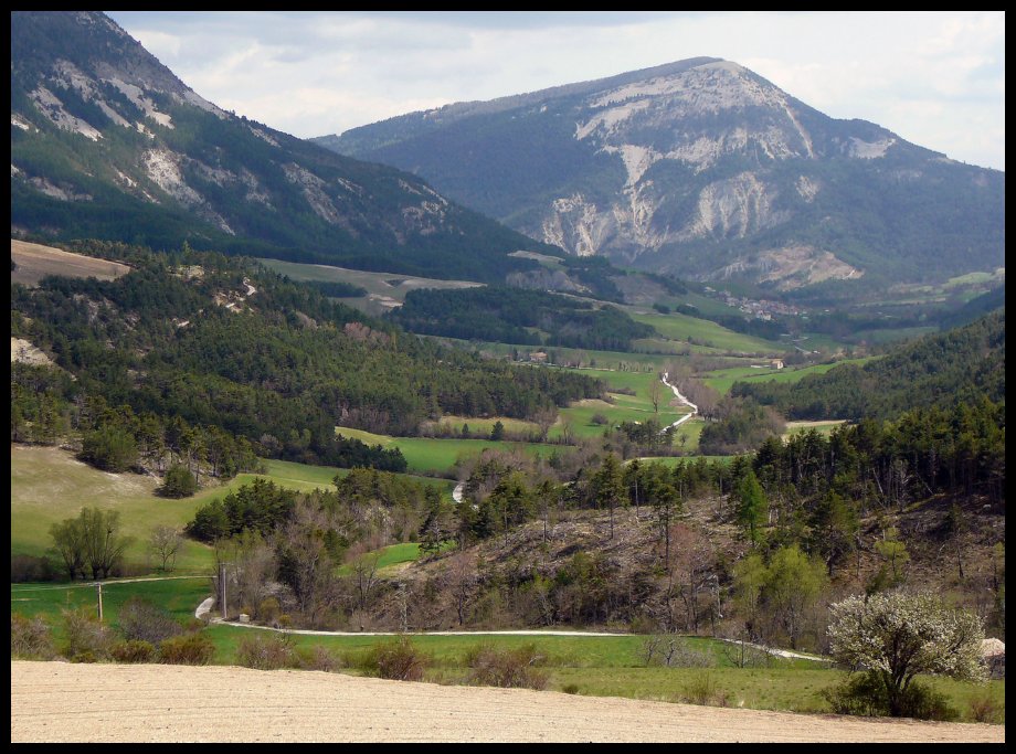 Verdon