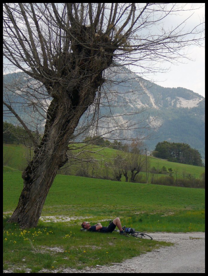 Verdon