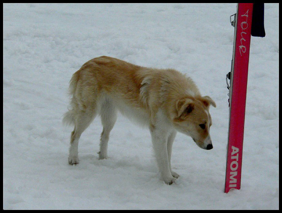 04_rastkogel